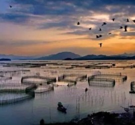 博白伴游中国网景点丰富(旅游网介绍)