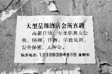 博白珠海伴游雇用网(珠海游览社雇用信息)
