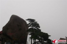 博白上海伴游私家陪游雇用女模(上海伴游私家陪游雇用女模特)