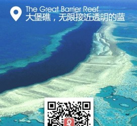 博白中国250家旅行社结伴游新西兰(新西兰当地旅行社)