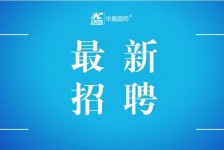 博白镇江伴游雇用驾驶员(镇江驾驶员雇用苍生网)
