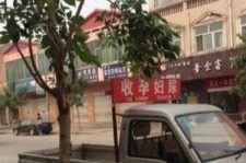 博白上海伴游 用伴游造句大全(5