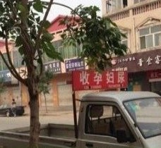 博白上海伴游 用伴游造句大全(5