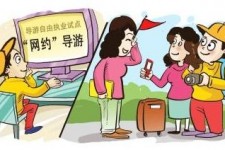 博白伴游是什么