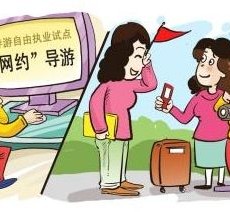 博白伴游是什么