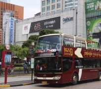 博白上海私人伴游 上海过年怎么玩？这些“微游”线路了解下→
