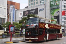 博白上海私人伴游 上海过年怎么玩？这些“微游”线路了解下→
