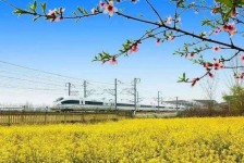 博白高铁游(高铁游戏下载手机版)