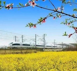 博白高铁游(高铁游戏下载手机版)