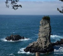 博白旅游全攻略(上海旅游全攻略)