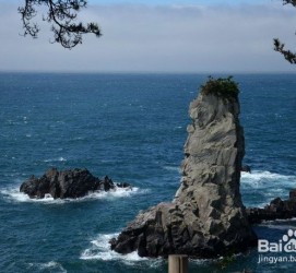 博白旅游全攻略(上海旅游全攻略)