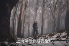 博白上海私人伴游 上海伴游，上海兼职伴游安全吗