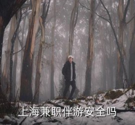 博白上海私人伴游 上海伴游，上海兼职伴游安全吗