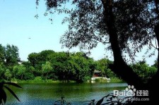 博白西湖旅游攻略(上海到杭州西湖旅游攻略)