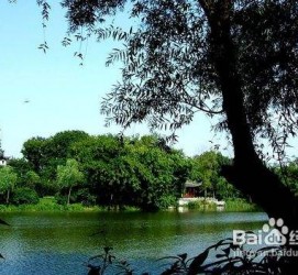 博白西湖旅游攻略(上海到杭州西湖旅游攻略)