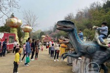 博白中国伴游带你打卡网红南山竹海(南山竹海网上预约)