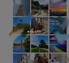 博白伴游中国网说的地方(旅游伴游中国)