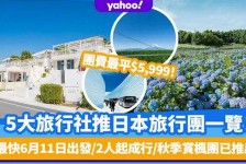 博白旅游价格(旅游价格机制)