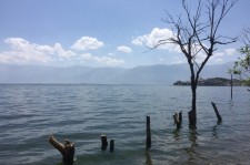 博白洱海旅游攻略(洱海旅游攻略自由行)