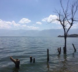 博白洱海旅游攻略(洱海旅游攻略自由行)