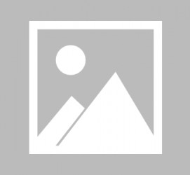 博白全国男伴游雇用信息(哪里有雇用男士伴游的)