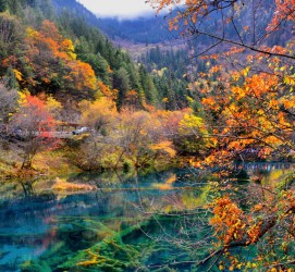 博白四川旅游攻略(四川旅游攻略十五日游)