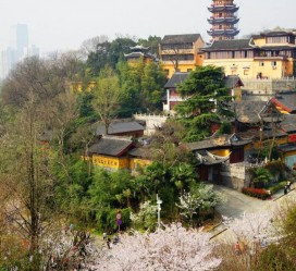 博白南京周边游(南京周边游景点大全 自驾车旅游)