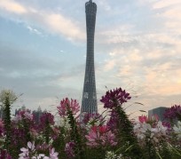 博白广州旅游攻略(杭州到广州旅游攻略)