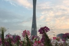 博白广州旅游攻略(杭州到广州旅游攻略)