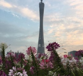 博白广州旅游攻略(杭州到广州旅游攻略)