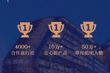 博白上海私人伴游 ​ “小而美”的新时代：2020年国内新跟团消费报告