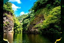 博白旅游报价(旅行团旅游报价)