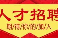 博白上海伴游招聘 招聘 | 浦东机场专柜销售