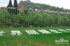 博白昆明旅游攻略(昆明旅游攻略景点大全抚仙湖)