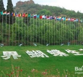 博白昆明旅游攻略(昆明旅游攻略景点大全抚仙湖)
