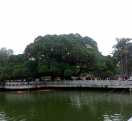 博白福州旅游攻略(福州旅游攻略二日游)