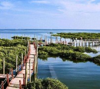 博白旅游哪里好玩(云南旅游哪里好玩)