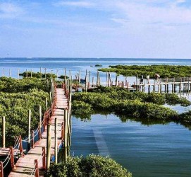 博白旅游哪里好玩(云南旅游哪里好玩)