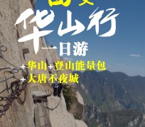 博白一日游(一日游需要准备些什么东西?)