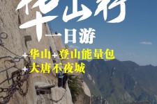 博白一日游(一日游需要准备些什么东西?)
