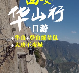 博白一日游(一日游需要准备些什么东西?)