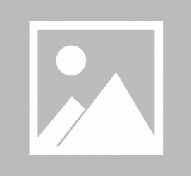 博白私人伴游 黄金周里动“黄”经 天津又现“私人陪游”逆流