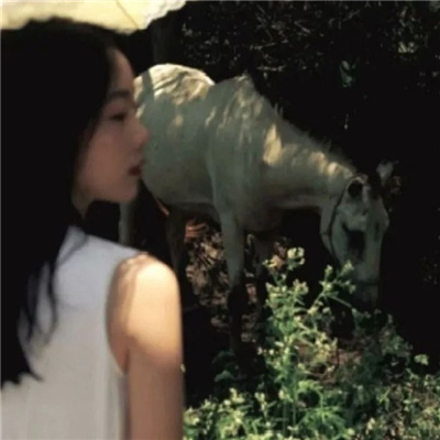 博白私家伴游让你拥有一次完美的旅游体验