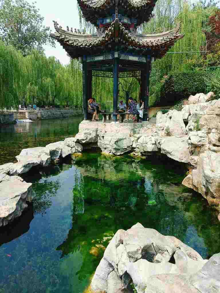 济南旅游攻略(青岛威海济南旅游攻略)