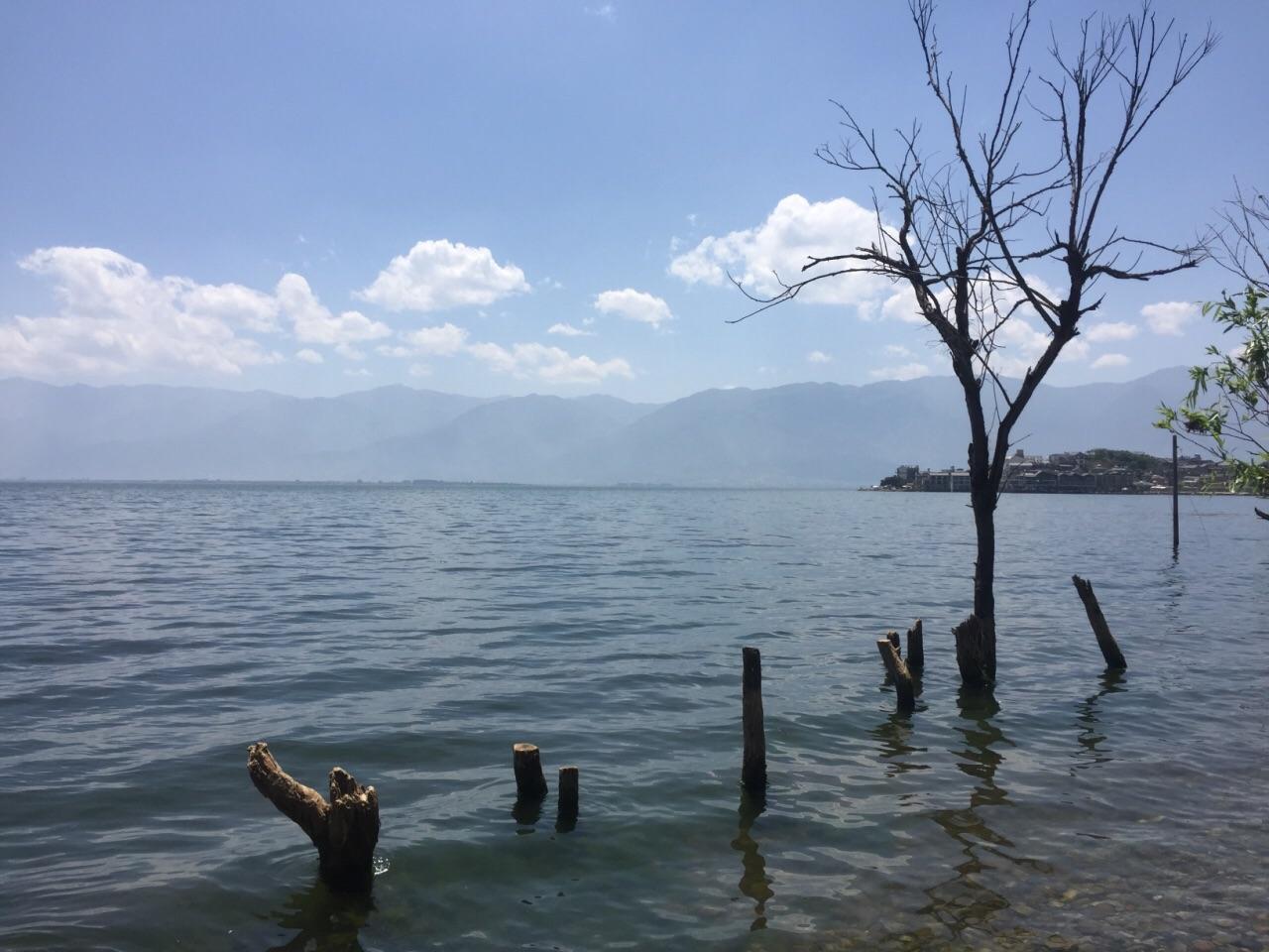 洱海旅游攻略(洱海旅游攻略自由行)